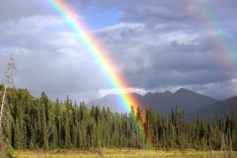Rainbow Slime