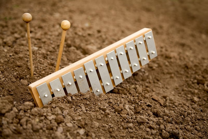 DIY Musical Instruments